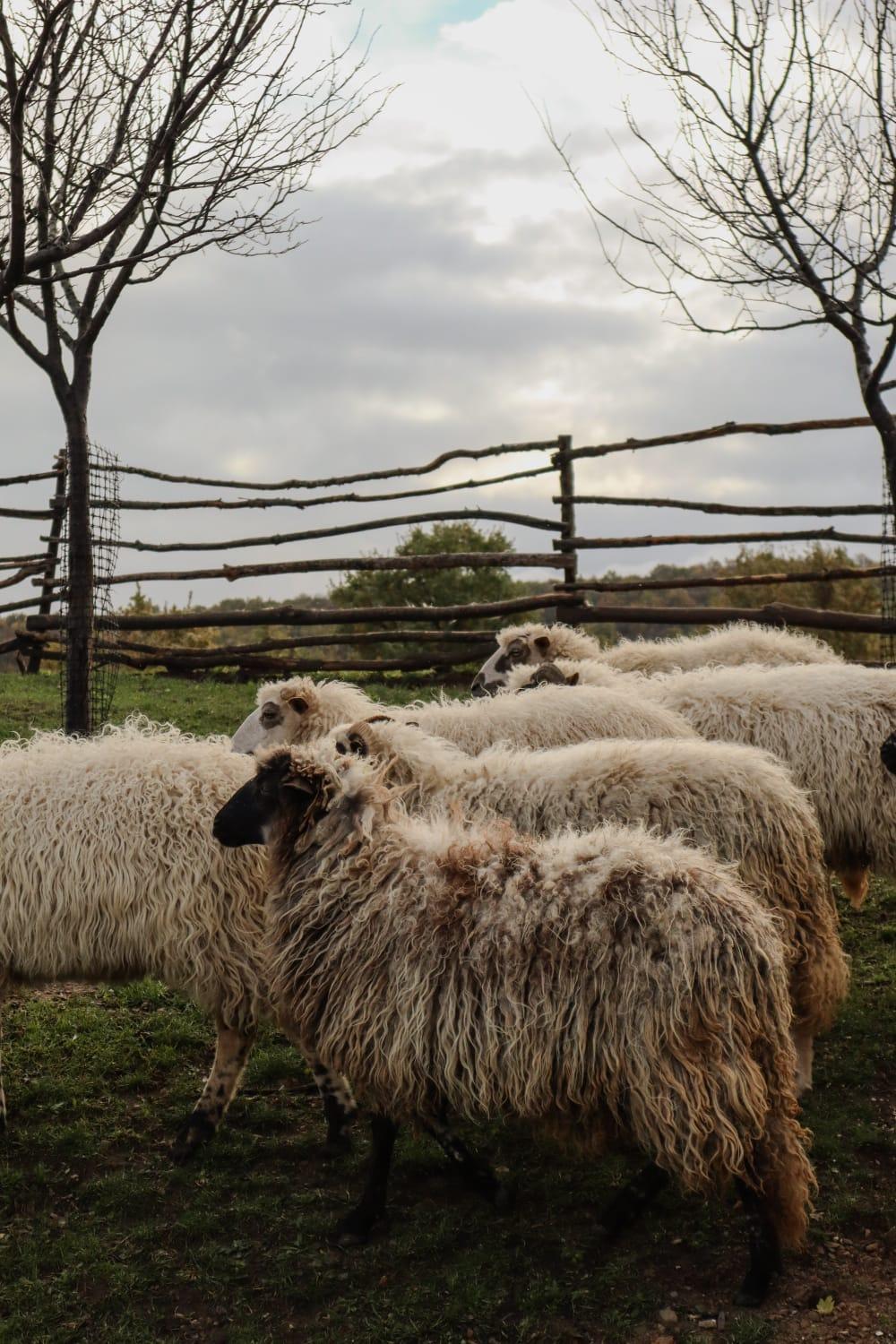 Chez Marthe, Organic Farm Stay 크닌 외부 사진
